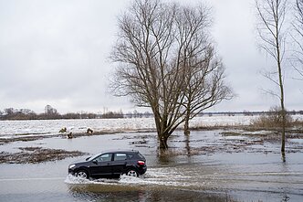 A flooded road on the way to Uostadvaris. A flooded road on the way to Uostadvaris.