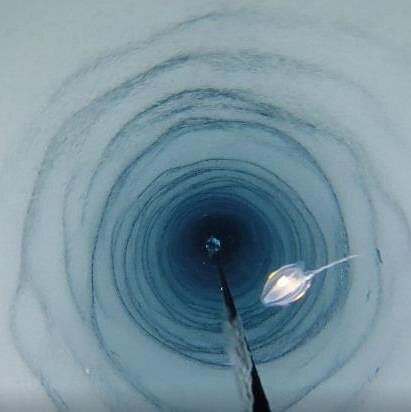 Dr. Huw Griffiths/British Antarctic Survey, Antarktida, jūros gyviai