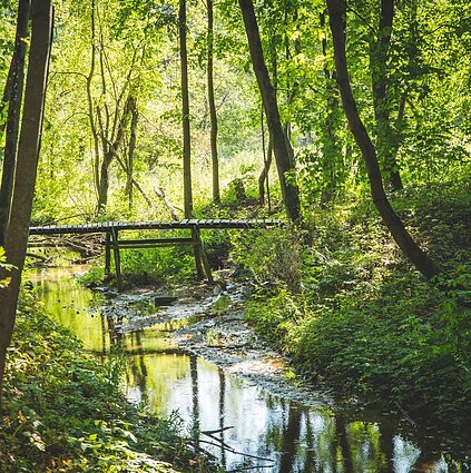 Homo cultus. Žmogus ir miestas. Apie ekspedicijas upėmis ir upių atvėrimą miestui