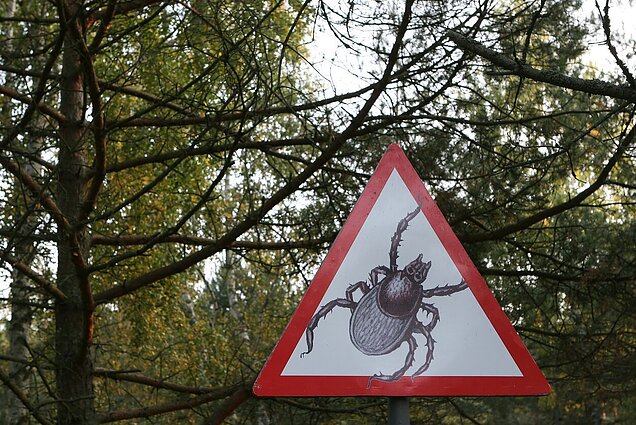 Šylant orams ir artėjant balandžiui, medikai primena: erkės jau prabudusios