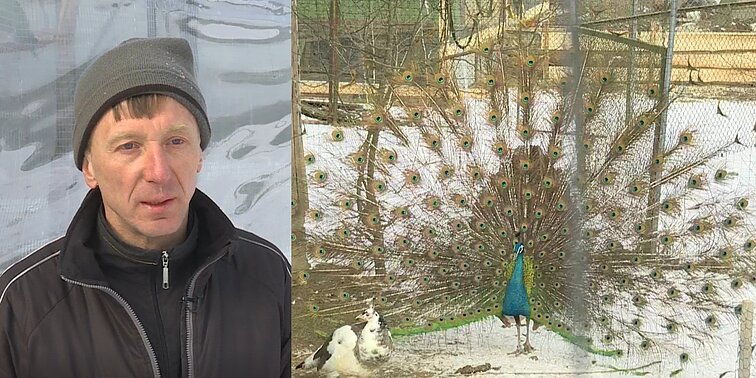 Utenos rajono gyventojas įkūrė retų sparnuočių karalystę, kurioje – per pusę tūkstančio neįprastų ir egzotinių paukščių