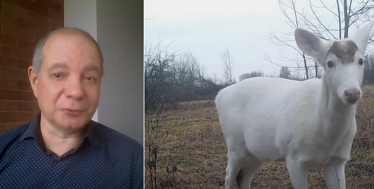 Gyvūnijos pasaulio „baltos varnos“: albinosus priima gentainiai, tačiau prisitaikyti prie sąlygų jiems gerokai sunkiau