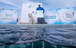  Aleksejus Molčanovas