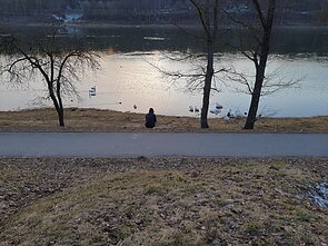 Nemuno Krantinės gatvė Nemuno Krantinės gatvė