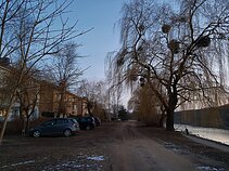Nemuno Krantinės gatvė Nemuno Krantinės gatvė