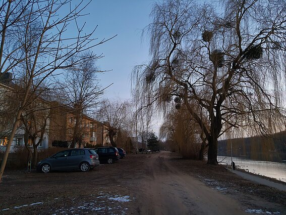 Nemuno Krantinės gatvė Nemuno Krantinės gatvė