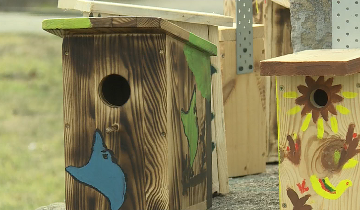 Gamtininkai kviečia nepamiršti kelti inkilų: neapgyvendintų – nelieka