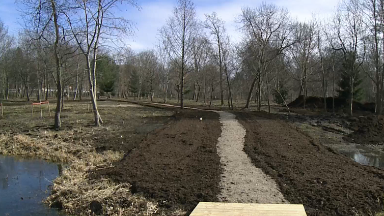 Labas rytas, Lietuva I d. Klaipėdoje kuriamas unikalus Rytų Azijos šalių sodas: vienintelis toks visoje šalyje