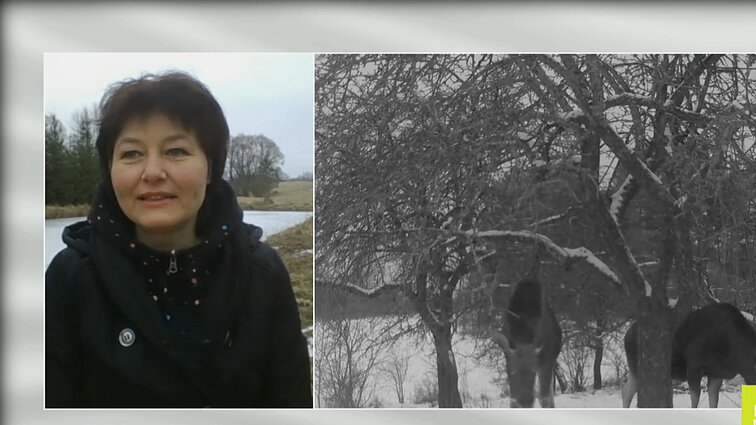 Mokytoja Sondra sodyboje įsirengė naktinę kamerą – dabar vaikams rodo pačios filmuotus gyvūnus