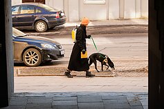 Pavasaris Vilniuje Pavasaris Vilniuje