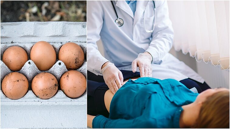 Klauskite daktaro. Vištų kiaušinių tyrimas, kurio rezultatai gali nustebinti ir kaip užkirsti kelią ne vieną gyvybę nusinešusiai ligai