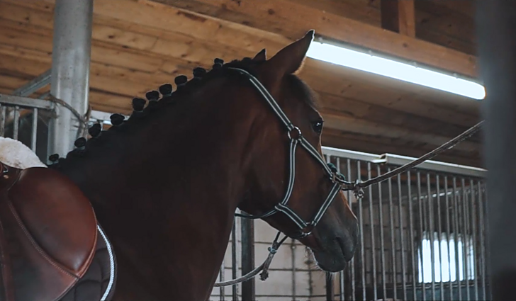 Kaime iš meilės žirgams atsidūrusios Lijana ir Edita: žirgų mums niekada nebus per daug