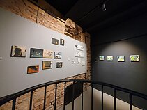 Paroda „Formatas`20“