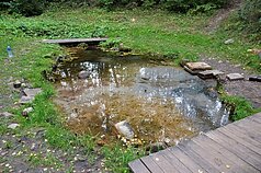 Šmitos versmė