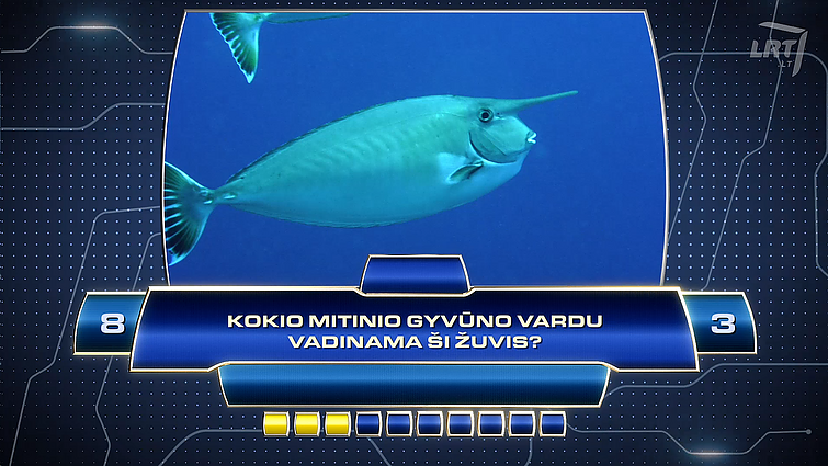 Kas ir kodėl? Kokio mitinio gyvūno vardu vadinama ši žuvis?