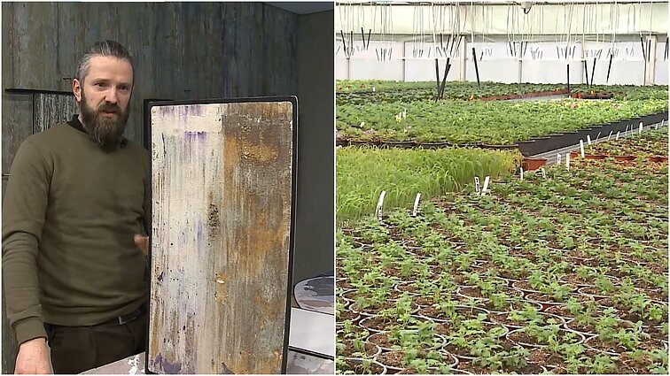 Gyventi kaime gera. Molio panaudojimas namo apdailai bei taisyklingas gėlių sodinimas