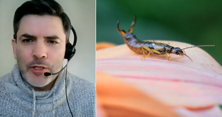 Marius Čepulis paaiškina, kas yra tikri, o kas tik tariami daržo priešai: gamtoje kenkėjų ir piktžolių nėra
