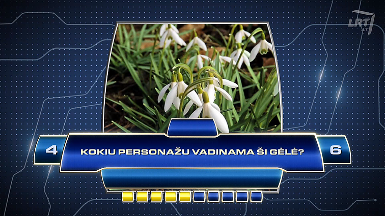 Kas ir kodėl? Kokiu personažu vadinama ši gėlė?