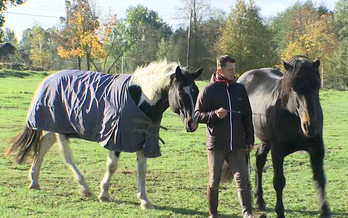Svajonę rūpintis žirgais išpildęs Jaroslavas: mokytoja sakydavo – jei nesimokysi, uodegas arkliams riši. Matyt, Dievas išgirdo