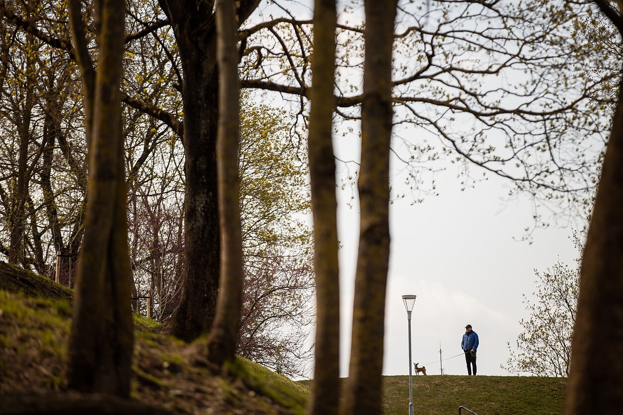 Ekonomika, asociatyvi nuotr.