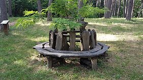 Rozalimo miško parkas Rozalimo miško parkas