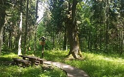 Troškūnų girininkijos pažintinis kompleksas ir Anykščių regioninio padalinio arboretumas Troškūnų girininkijos pažintinis kompleksas ir Anykščių regioninio padalinio arboretumas