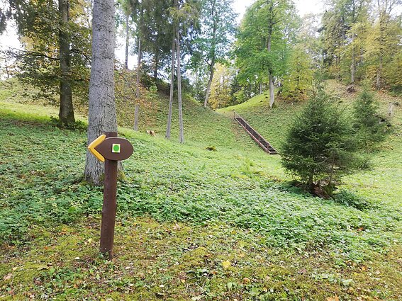 Skrebio miško pažintinis takas Skrebio miško pažintinis takas