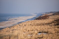 Kuršių nerija
