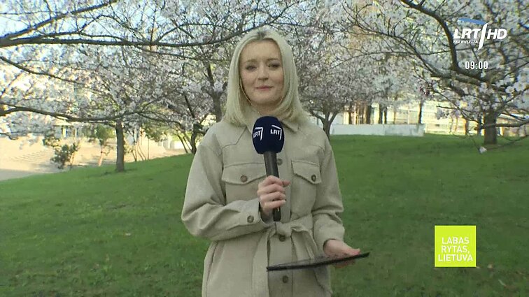 Labas rytas, Lietuva