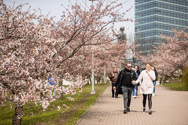 Orų prognozė: staiga užklupusi vėsa ilgam neužsiliks – artėja vasariški orai, penktadienį pranašaujamas šilumos pikas