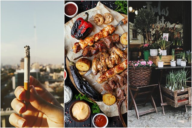 Klauskite daktaro. Metimo rūkyti nauda, pavojai iškylose ir augalai, padedantys atsikratyti vabzdžių