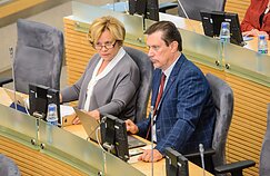 Rasa Juknevičienė ir Vytautas Juozapaitis Rasa Juknevičienė ir Vytautas Juozapaitis