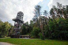 Medžių lajų takas Anykščiuose