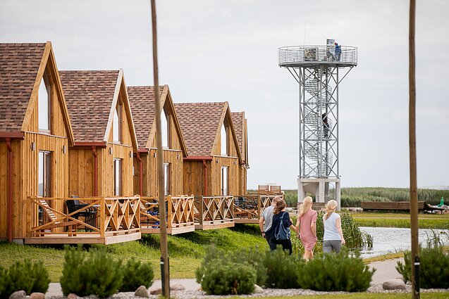 Drevernos apžvalgos bokštas