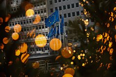 Europos Sąjungos vėliava Europos Sąjungos vėliava