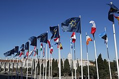 Europos Sąjungos vėliava Europos Sąjungos vėliava