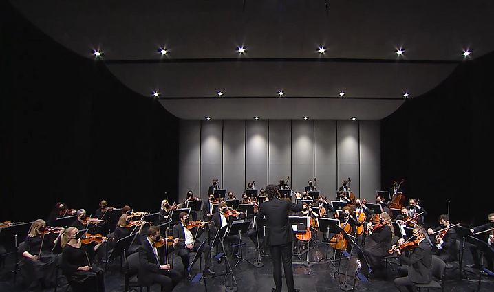 Lietuvos nacionalinio operos ir baleto teatro simfoninio orkestro koncertų ciklas. I koncertas