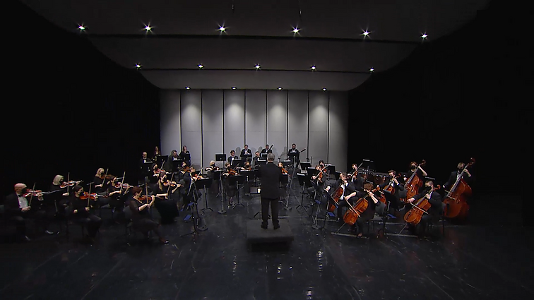 Lietuvos nacionalinio operos ir baleto teatro simfoninio orkestro koncertų ciklas. II koncertas