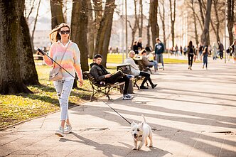 Vilnius (associative image)