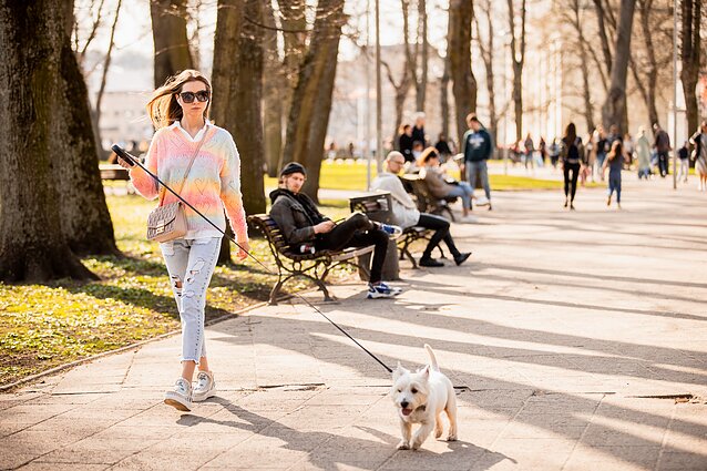 Vilnius (associative image)