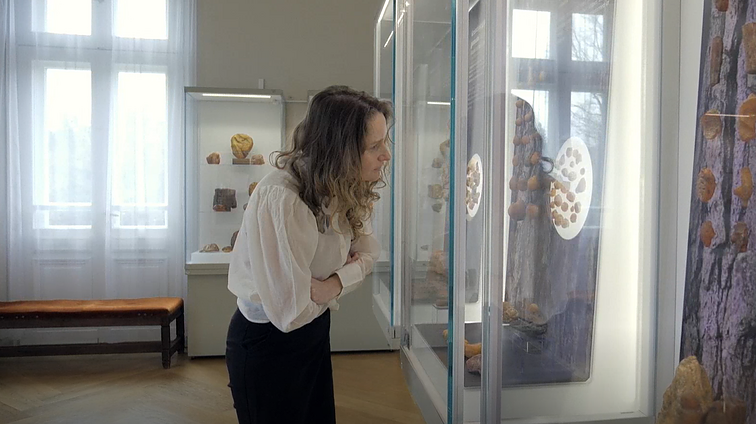 „30 kūrinių, 30 kūrėjų, 30 savaičių“. Juvelyrė Eglė Čėjauskaitė-Gintalė apie gintaro dirbinius: kai dirbi su gintaru, tenkini visas savo jusles