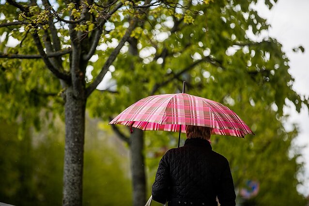 Artimiausią savaitę dienas lydės lietus, pavasarinė šiluma vienai dienai aplankys sekmadienį
