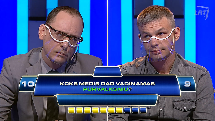 Kas ir kodėl? Koks medis dar vadinamas purvalksniu?