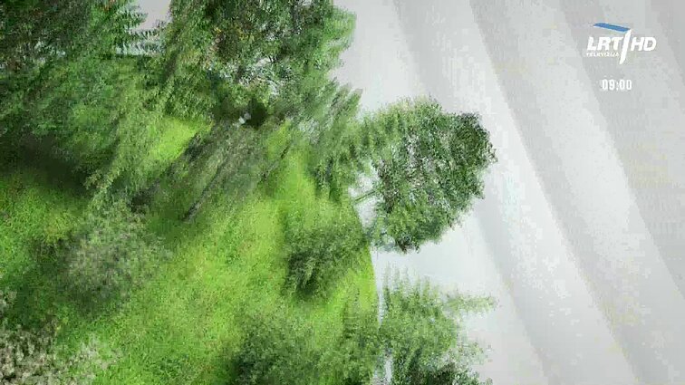 Labas rytas, Lietuva