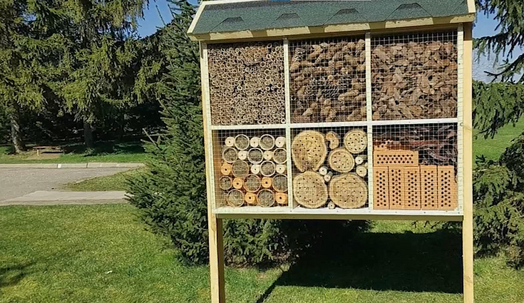 Viešbučiai naudingiems vabzdžiams: galima ne tik atimti, bet ir sukurti erdves gyviems organizmams