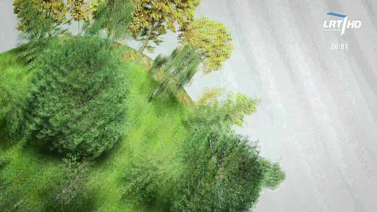 Labas rytas, Lietuva