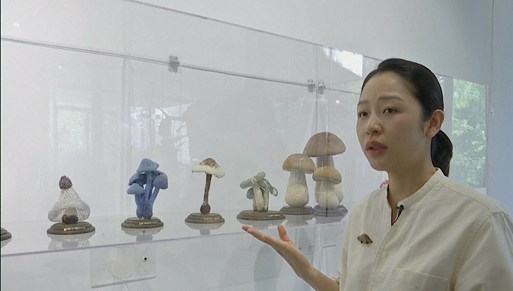 Su vilna galima ne tik šildytis: iš Kinijos kilusi menininkė velia spalvingas skulptūras