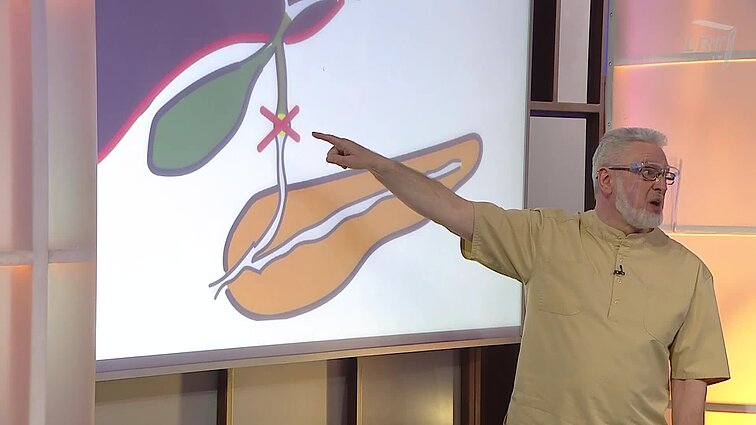 Tulžis – nedidelis organas, bet gali apkartinti gyvenimą: kokie ženklai rodo, kad jau reikia pagalbos?