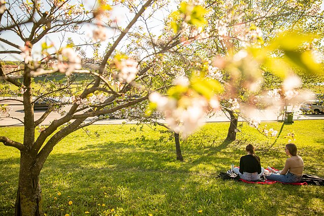 Žinios. Vyriausybė šiandien svarstys baigti karantiną