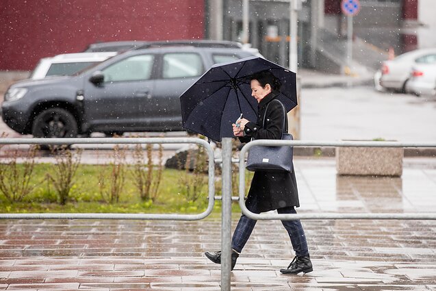 Savaitgalį lydės trumpi lietūs ir perkūnija, bet vasariškos šilumos sulauksime nuo kitos savaitės